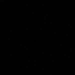 Meet your Posher, Sofia